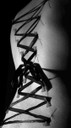 webcorset009.jpg