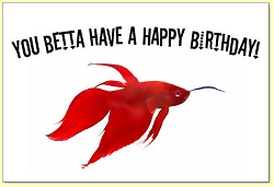 bdayfish5.jpg