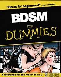 BDSM for Dummies