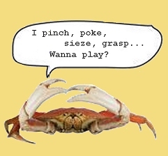pinch.jpg