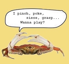 pinch.jpg