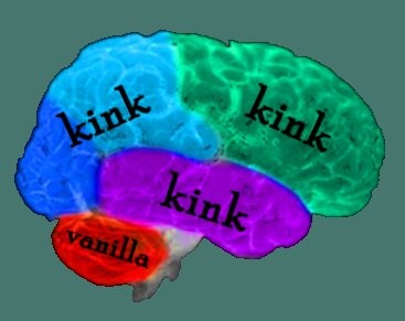 Brain.jpg