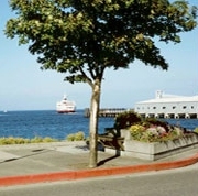 http://www.cohoferry.com