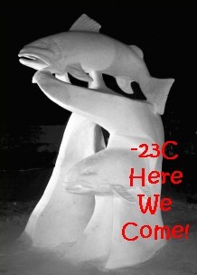 frozenfish.jpg