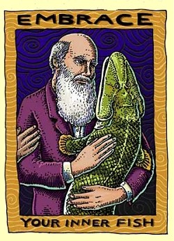 innerfish.jpg